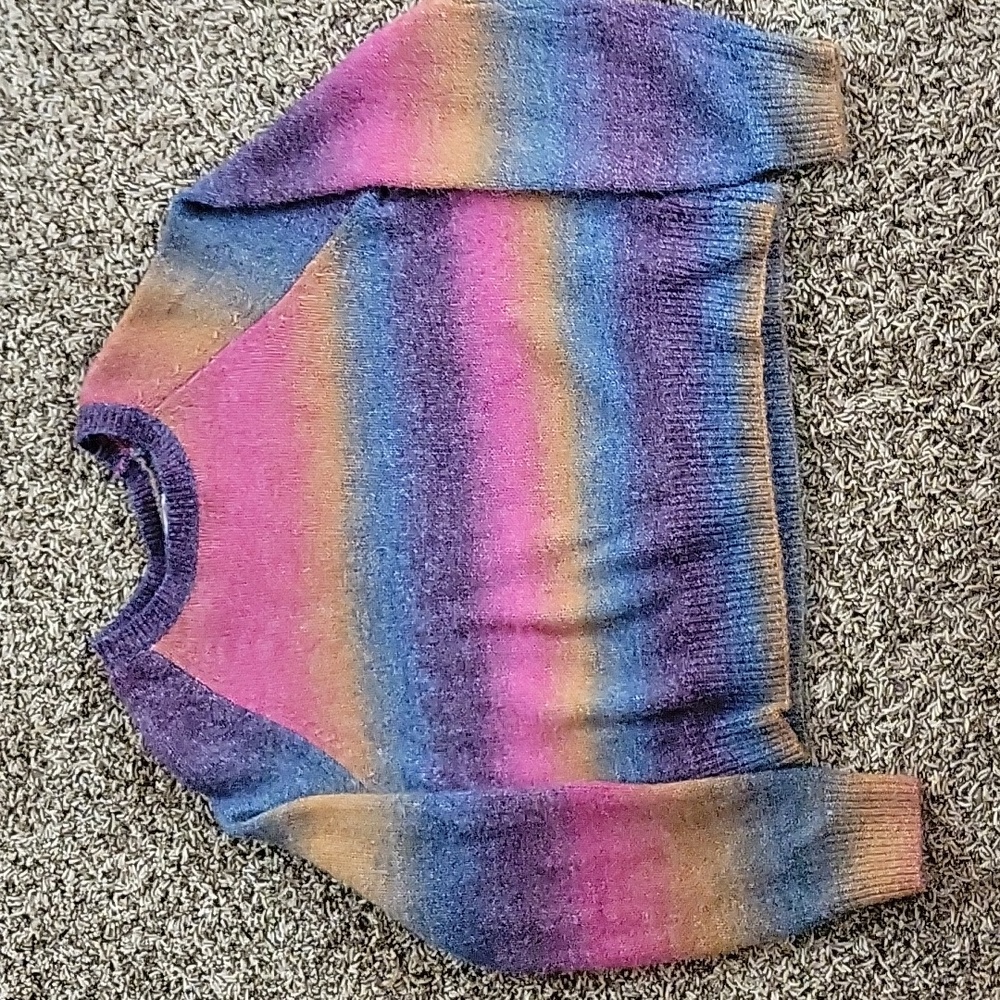Steven Madden BB Dakota Muted rainbow sweater